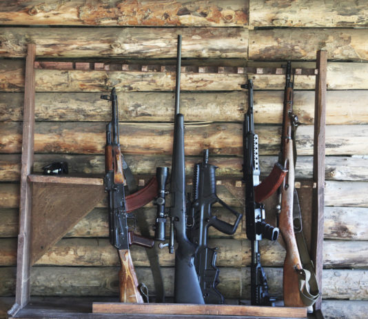 Revoca del porto d’armi: è legittima in caso di procedimenti penali Revoca del porto d'armi è legittima in caso di procedimenti penali