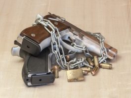 Verso l’approvazione della Direttiva armi Verso l'approvazione della Direttiva armi