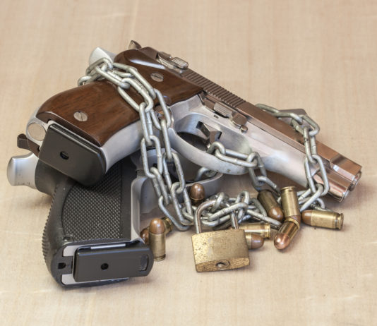 Verso l’approvazione della Direttiva armi Verso l'approvazione della Direttiva armi