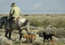 Crispi Country Spirit