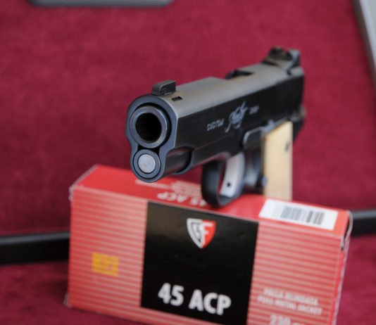 Kimber Classic Carry Pro, eleganza in .45 Acp 7-Kimber Classic Carry Pro