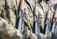 Polonia, difenditi con 53.400 Beryl Beryl Polonia