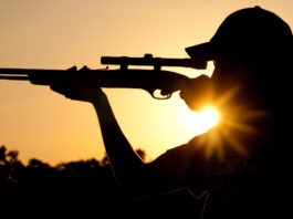 Carabine semiautomatiche a caccia: la svolta della Pennsylvania Carabine semiautomatiche