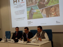 Direttiva n° 477: ma agli appassionati interessa davvero? Direttiva n° 477