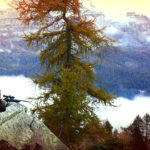 Franchi Horizon