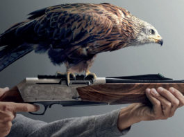 Il modo di godersi la battuta e l’appostamento Kite Optics