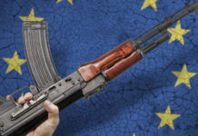 Anpam: “Ingiusti gli attacchi a Lara Comi” Lara Comi Europa