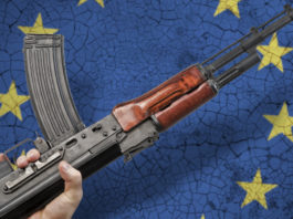 Anpam: “Ingiusti gli attacchi a Lara Comi” Lara Comi Europa