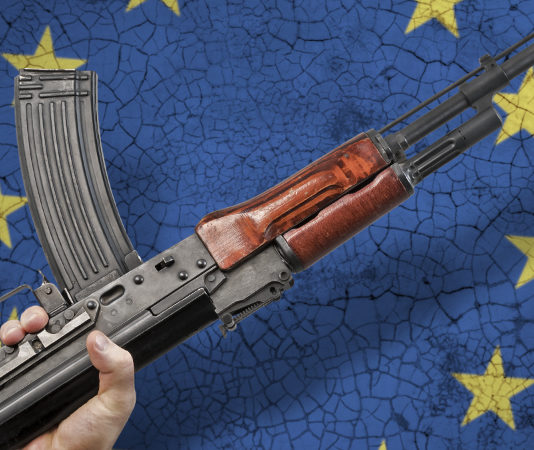 Anpam: “Ingiusti gli attacchi a Lara Comi” Lara Comi Europa