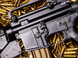 Armi e militari, le spese (miliardarie) del Paese Milex