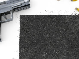 In New Mexico si discute dell’estensione del background check New Mexico background check