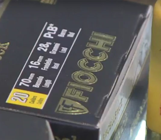 Fiocchi Linea Excellence Woodcock: calibro 12 e 20 per la beccaccia Fiocchi Woodcock per beccaccia