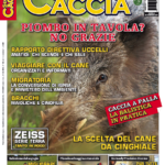 Sentieri di Caccia marzo 2017: dal 28 febbraio vi aspetta in edicola sentieri di caccia marzo 2017