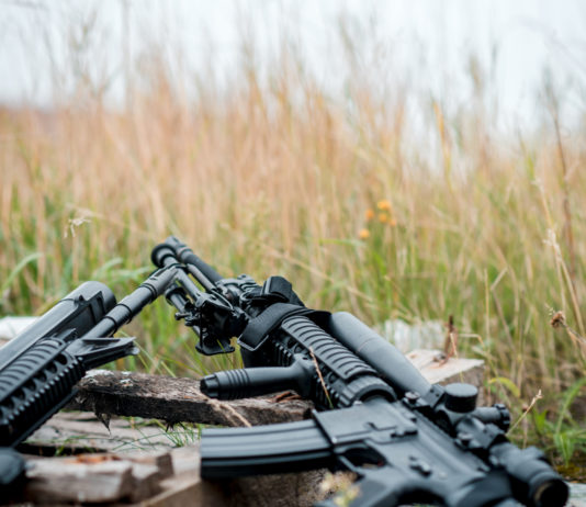 “Albania senza armi”, i cittadini in fila per la consegna “Albania senza armi”, i cittadini in fila per la consegna