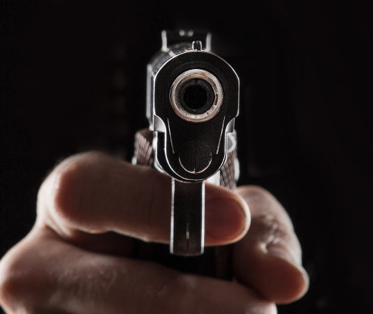 A cosa serve un database dei reati commessi con armi legalmente detenute? Armi legalmente detenute