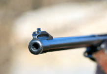 Arrestato in Versilia per detenzione abusiva di armi Arrestato in Versilia per detenzione abusiva d’armi