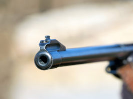 Arrestato in Versilia per detenzione abusiva di armi Arrestato in Versilia per detenzione abusiva d’armi