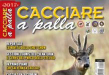 Cacciare a Palla aprile 2017 in edicola dal 17 marzo Cacciare a Palla aprile 2017