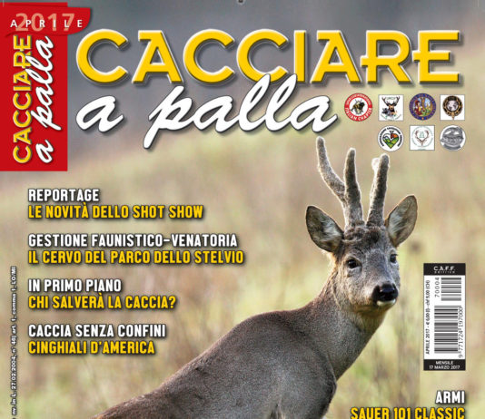 Cacciare a Palla aprile 2017 in edicola dal 17 marzo Cacciare a Palla aprile 2017