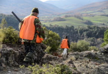 Cacciare sicuri: 6 regole tra legge e buonsenso Cacciare sicuri: 6 regole tra legge e buonsenso