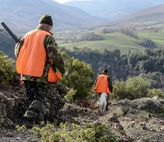 Cacciare sicuri: 6 regole tra legge e buonsenso Cacciare sicuri: 6 regole tra legge e buonsenso