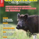 Cinghiale che Passione aprile-maggio 2017 in edicola dal 17 marzo Cinghiale che Passione aprile-maggio 2017 in edicola dal 17 marzo