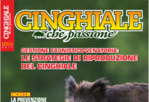 Cinghiale che Passione aprile-maggio 2017 in edicola dal 17 marzo Cinghiale che Passione aprile-maggio 2017 in edicola dal 17 marzo