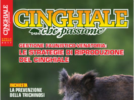 Cinghiale che Passione aprile-maggio 2017 in edicola dal 17 marzo Cinghiale che Passione aprile-maggio 2017 in edicola dal 17 marzo