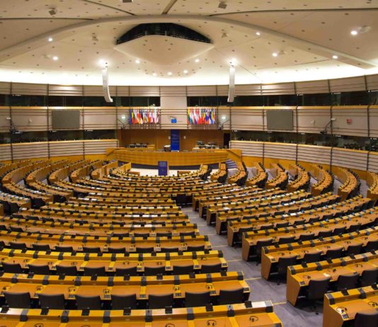 Direttiva armi: il comparto italiano si compatta per vigilare Direttiva Armi