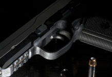 “I cittadini si sono già espressi” Lorenzo Quadri