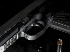 “I cittadini si sono già espressi” Lorenzo Quadri