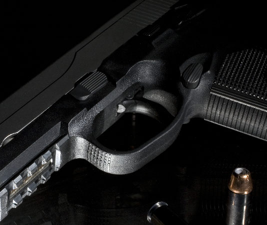 “I cittadini si sono già espressi” Lorenzo Quadri