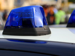 Reagisce a furto nel ristorante e spara: morto uno dei ladri Osteria dei Amis