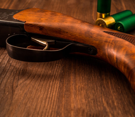 Sesso, armi e gelosia: un mix troppo pericoloso Sesso, armi e gelosia un mix troppo pericoloso