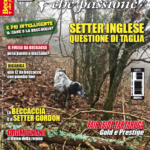 Beccacce che Passione 2 2017: in edicola dal 4 marzo beccacce che passione 2 2017