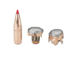 Munizionamento in piombo: 5 ragioni per abbandonarlo munizionamento in piombo