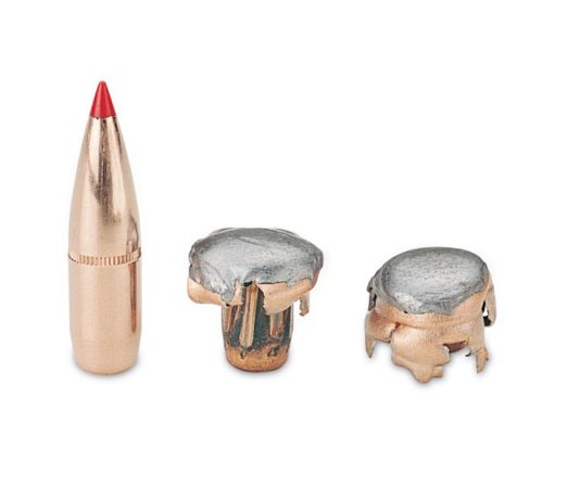 Munizionamento in piombo: 5 ragioni per abbandonarlo munizionamento in piombo