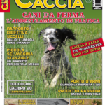 Sentieri di Caccia aprile 2017 vi aspetta in edicola sentieri di caccia aprile 2017