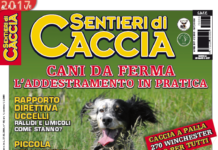 Sentieri di Caccia aprile 2017 vi aspetta in edicola sentieri di caccia aprile 2017