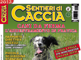 Sentieri di Caccia aprile 2017 vi aspetta in edicola sentieri di caccia aprile 2017