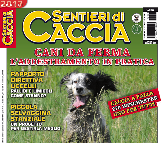 Sentieri di Caccia aprile 2017 vi aspetta in edicola sentieri di caccia aprile 2017