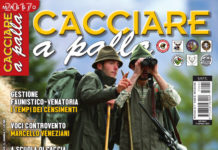 Cacciare a Palla maggio 2017 in edicola dal 15 aprile Cacciare a Palla maggio 2017