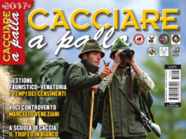 Cacciare a Palla maggio 2017 in edicola dal 15 aprile Cacciare a Palla maggio 2017