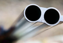 Porto d’armi sì anche in caso di condanna penale