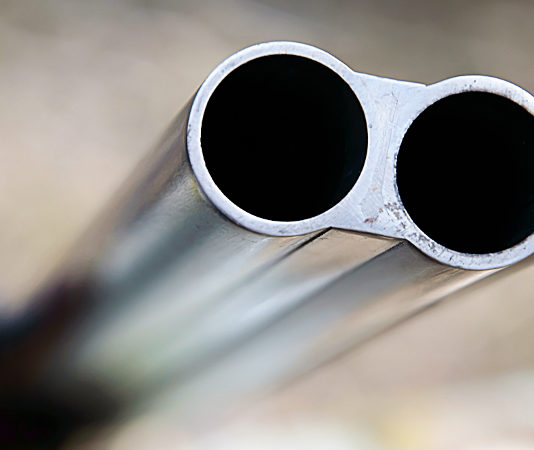 Porto d’armi sì anche in caso di condanna penale