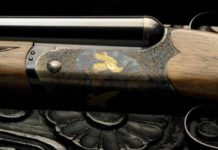 F.A.I.R. Iside Tartaruga Gold e Iside Prestige Tartaruga Gold, il top di gamma F.A.I.R. Iside Tartaruga