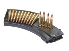 In crescita il valore delle esportazioni di armi russe Il premier Dmitri Medvedev ha presentato alla Duma il rapporto del governo sul valore delle esportazioni di armi russe nel mondo.