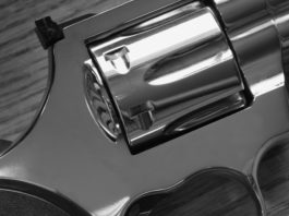 No del Parlamento alla discussione immediata sulla legittima difesa Inversione ordine del giorno