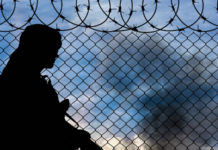 Miliziani dell’Isis uccisi da un branco di cinghiali Isis