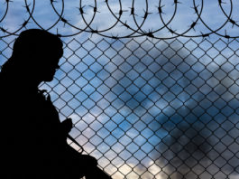 Miliziani dell’Isis uccisi da un branco di cinghiali Isis